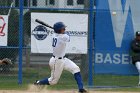 Baseball vs Babson  Wheaton College Baseball vs Babson during NEWMAC Championship Tournament. - (Photo by Keith Nordstrom) : Wheaton, baseball, NEWMAC